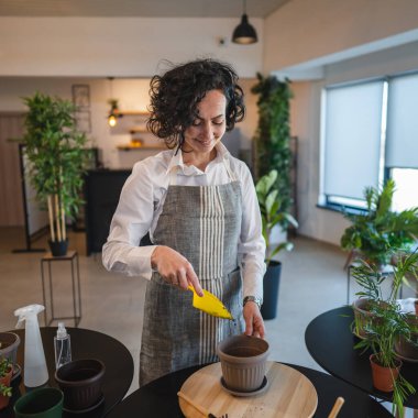 One mature woman caucasian female gardener or florist take care and cultivate domestic flowers plants at home gardening concept copy space