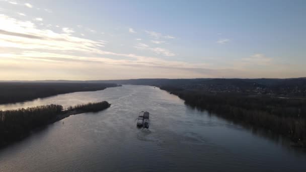 Pråm Donau Nära Novi Sad Serbien Bogserbåtar Tryckpråmar För Flodtransport — Stockvideo