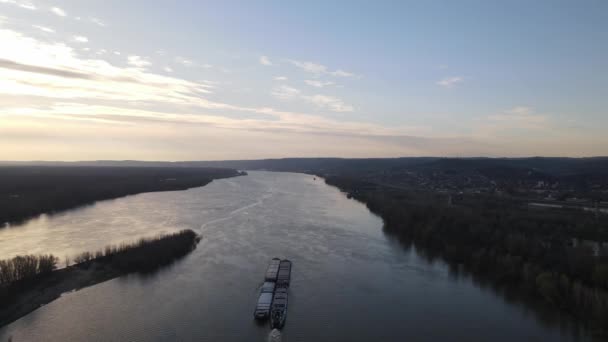 Barka Dunaju Pobliżu Novi Sad Serbii Holowniki Pchające Barki Transportu — Wideo stockowe
