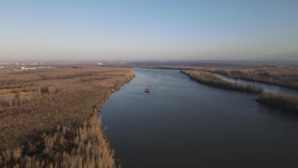 Barka Dunaju Pobliżu Novi Sad Serbii Holowniki Pchające Barki Transportu — Wideo stockowe