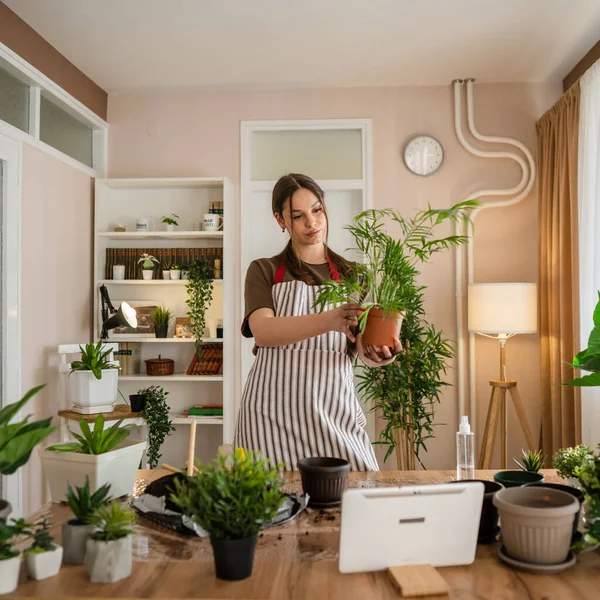 One Young Woman Caucasian Female Gardener Florist Take Care Cultivate — Photo