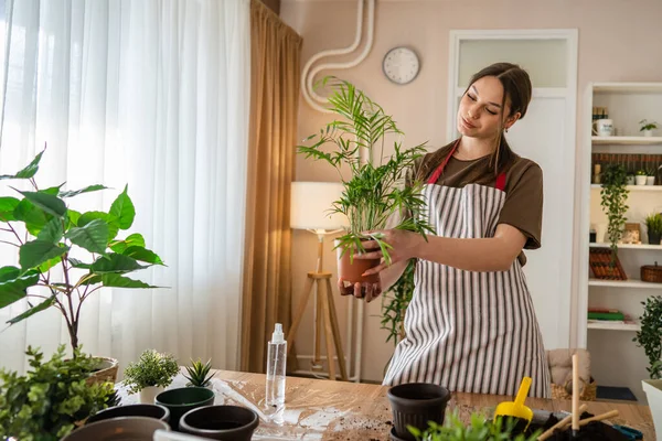 One Young Woman Caucasian Female Gardener Florist Take Care Cultivate — Fotografia de Stock