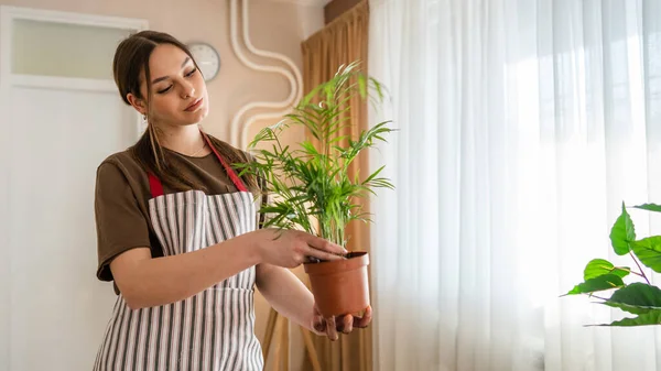Ung Kvinna Kaukasisk Kvinnlig Trädgårdsmästare Eller Blomsterhandlare Hand Och Odla — Stockfoto