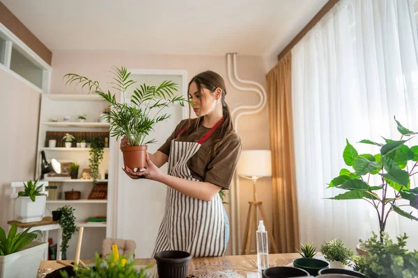 One Young Woman Caucasian Female Gardener Florist Take Care Cultivate — Foto Stock
