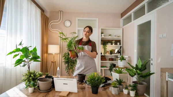 Uma Jovem Mulher Branca Jardineiro Florista Cuidar Cultivar Plantas Flores — Fotografia de Stock