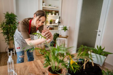 Bir kadın genç nesil z yetişkin beyaz kadın çiçekleriyle ilgileniyor akıllı telefonuyla saksı fotoğrafı çekiyor sosyal medyaya fotoğraf yolluyor ya da gerçek bir mesaj yolluyor.