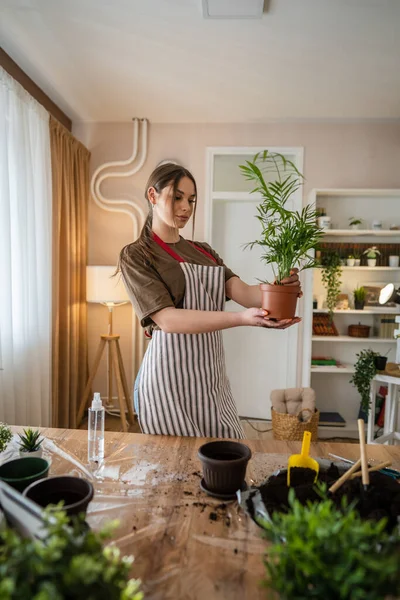 Una Mujer Joven Caucásica Hembra Pie Casa Mantenga Las Plantas —  Fotos de Stock