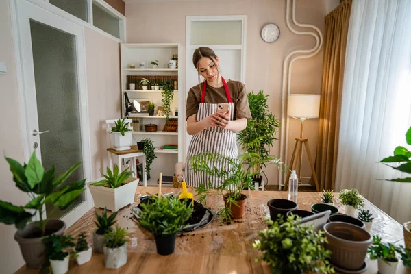 One woman young generation z adult caucasian female take care of her plants at home photographing flower pot with her smartphone mobile phone send photos to social media or as message real person