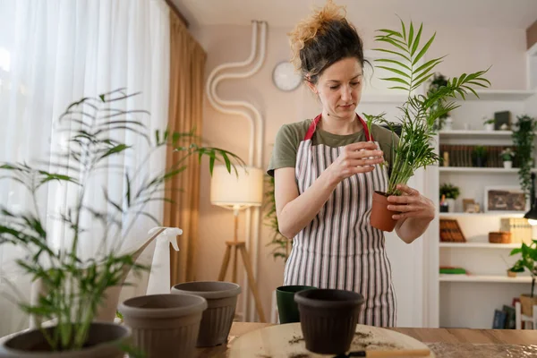 Vuxen Kvinna Kaukasisk Kvinnlig Trädgårdsmästare Eller Blomsterhandlare Hand Och Odla — Stockfoto