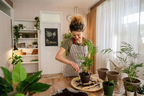 Una Mujer Adulta Caucásica Jardinero Femenino Florista Cuidar Cultivar Plantas —  Fotos de Stock