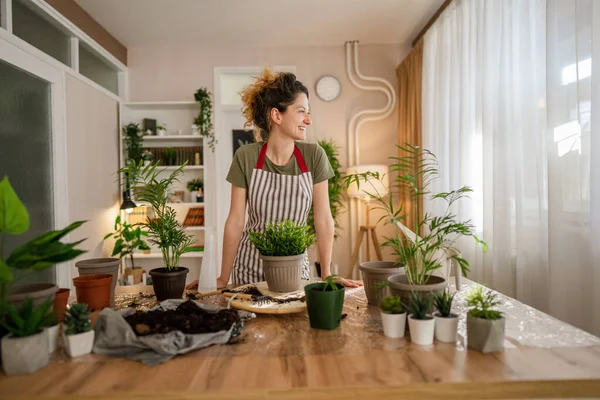 Une Femme Adulte Jardinière Fleuriste Caucasienne Prend Soin Cultive Des — Photo