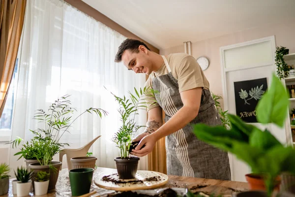 Homme Adulte Jardinier Caucasien Mâle Fleuriste Prendre Soin Cultiver Des — Photo