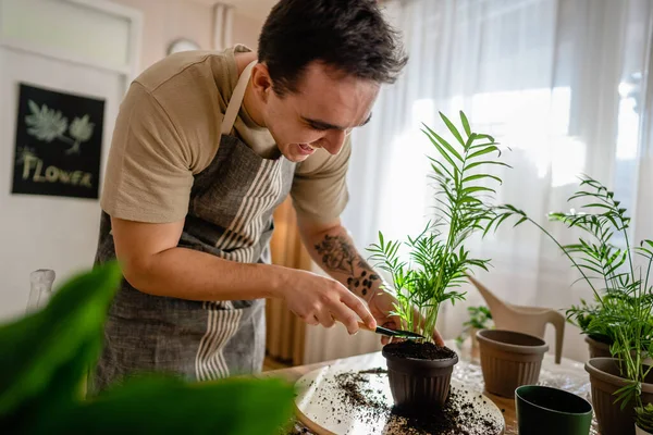 Vuxen Man Kaukasisk Manlig Trädgårdsmästare Eller Blomsterhandlare Hand Och Odla — Stockfoto