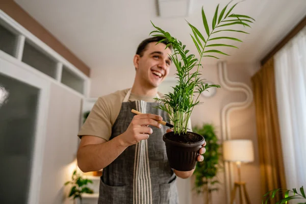 1人の大人の男白人男性庭師または花屋は世話をし 家庭菜園の概念コピースペースで国内の花の植物を栽培する — ストック写真
