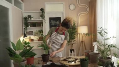 Yetişkin bir kadın, beyaz kadın bahçıvan ya da çiçekçi ev bahçelerinde çiçek yetiştirip, fotokopi çekiyorlar.