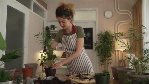 Une Femme Adulte Jardinière Fleuriste Caucasienne Prend Soin Cultive Des — Video