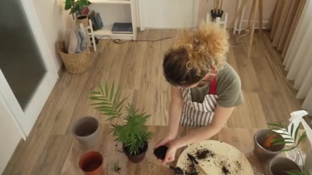 Eine Erwachsene Frau Kaukasische Gärtnerin Oder Floristin Kümmern Sich Und — Stockvideo