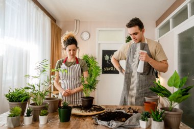 Couple caucasian man and woman wife and husband planting flowers together taking care of home plants real people domestic life family gardening concept copy space