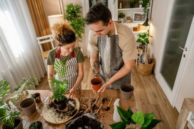Couple caucasian man and woman wife and husband planting flowers together taking care of home plants real people domestic life family gardening concept copy space