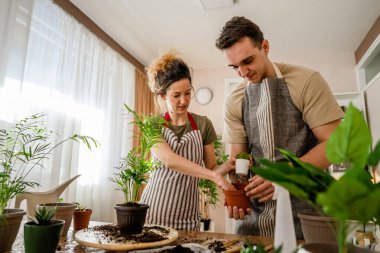 Couple caucasian man and woman wife and husband planting flowers together taking care of home plants real people domestic life family gardening concept copy space