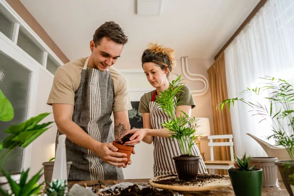 Couple Caucasian Man Woman Wife Husband Planting Flowers Together Taking — Foto Stock