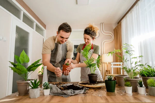 Couple Caucasian Man Woman Wife Husband Planting Flowers Together Taking — Foto Stock