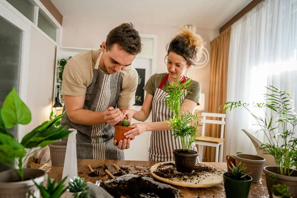 家庭植物の世話を一緒に一緒に花を植える夫婦の白人男性と女性の妻家庭菜園のコンセプトコピースペース — ストック写真