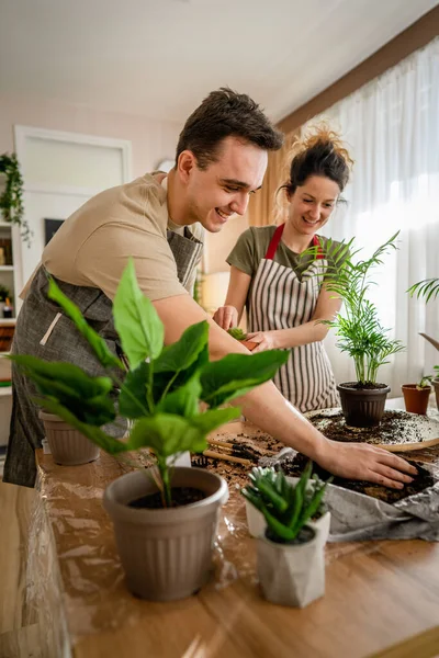 家庭植物の世話を一緒に一緒に花を植える夫婦の白人男性と女性の妻家庭菜園のコンセプトコピースペース — ストック写真