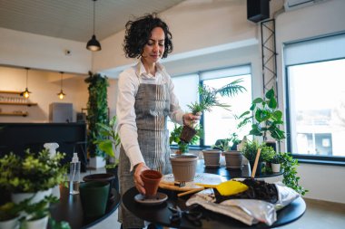 Yetişkin bir kadın, beyaz kadın bahçıvan ya da çiçekçi ev bahçesinde çiçek yetiştirip, saksıya uzay nakli yapıyor.