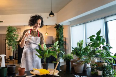 Yetişkin bir kadın, beyaz kadın bahçıvan ya da çiçekçi ev spreyi beslenme konsepti fotokopi alanında ev çiçekleri yetiştirir ve yetiştirir.