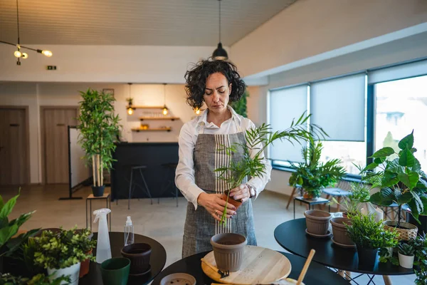 Una Mujer Madura Caucásica Jardinero Femenino Florista Cuidar Cultivar Las —  Fotos de Stock