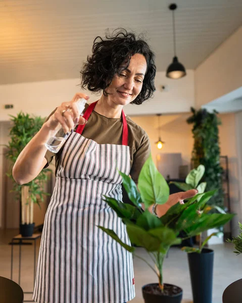 一人の成熟した女性の白人女性庭師または花屋は世話をし 家庭スプレー栄養園芸の概念コピースペースで国内の花の植物を栽培する — ストック写真