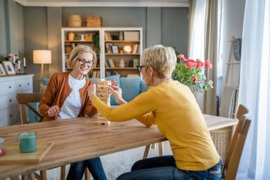 İki son sınıf bayan bayan arkadaş ya da aile kız kardeş evde oyun oynuyorlar. Emekliye ayrılan büyükanne, olgun kızlarıyla vakit geçiriyor.