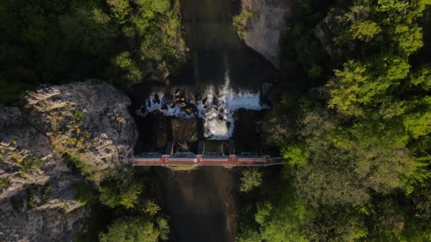 Baranica Daki Knjazevac Yakınlarındaki Timok Nehri Üzerindeki Barajın Hava Aracı — Stok video