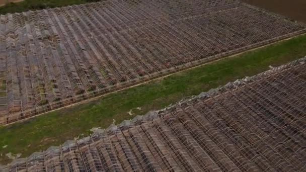Drónantenna Kilátás Rozsdás Üvegház Bővelkedik Törött Alkatrészek Üveg Ragyog Mezőgazdasági — Stock videók