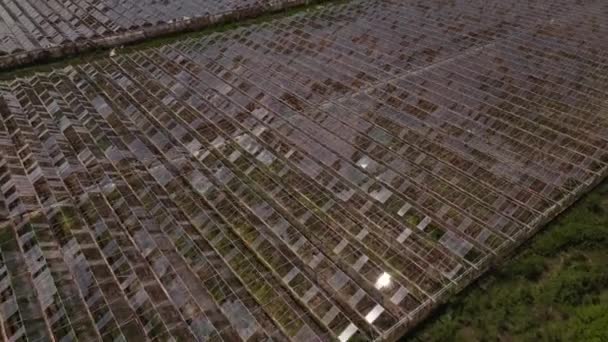 农田中 带着破碎部件和玻璃光芒的生锈温室无人机鸟瞰图 — 图库视频影像