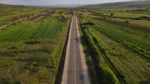 Conducción Aviones Tripulados Siga Carretera Asfaltada Través Campos Agrícolas Naturaleza — Vídeo de stock