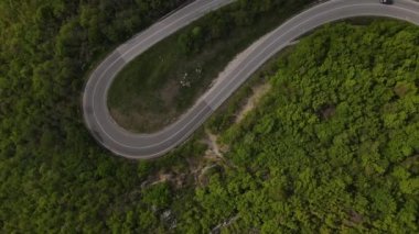 Otomobili otomobille gezerken hava aracı görüntüsü ilkbahar günü dağlık alanda ağaçların arasından geçerek - Sırbistan 'da Tresibaba Knjazevac - Seyahat yolculuğu ve tatil konsept araba sürüşü