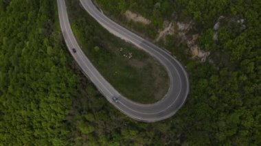 Otomobili otomobille gezerken hava aracı görüntüsü ilkbahar günü dağlık alanda ağaçların arasından geçerek - Sırbistan 'da Tresibaba Knjazevac - Seyahat yolculuğu ve tatil konsept araba sürüşü