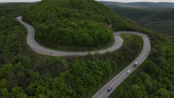 Drohnenblick Auf Das Auto Auf Der Straße Durch Die Bäume — Stockvideo