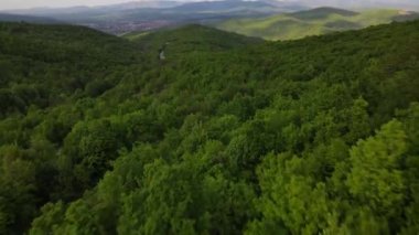 Sırbistan 'da yeşil ve manzara taşımacılığı ve seyahat konseptiyle çevrili dolambaçlı yol boyunca giden bahar aracı otomobili sırasında, bir dağ sırasındaki eğimli asfalt bir yolun hava aracı görüntüleri