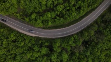 Sırbistan 'da yeşil ve manzara taşımacılığı ve seyahat konseptiyle çevrili dolambaçlı yol boyunca giden bahar aracı otomobili sırasında, bir dağ sırasındaki eğimli asfalt bir yolun hava aracı görüntüleri