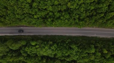 Sırbistan 'da yeşil ve manzara taşımacılığı ve seyahat konseptiyle çevrili dolambaçlı yol boyunca giden bahar aracı otomobili sırasında, bir dağ sırasındaki eğimli asfalt bir yolun hava aracı görüntüleri