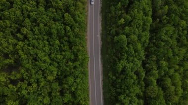 Sırbistan 'da yeşil ve manzara taşımacılığı ve seyahat konseptiyle çevrili dolambaçlı yol boyunca giden bahar aracı otomobili sırasında, bir dağ sırasındaki eğimli asfalt bir yolun hava aracı görüntüleri