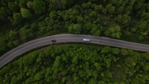 세르비아 지방에서 자동차를 꼬불꼬불 도로를 달리고 자동차가 녹색의 컨셉으로 둘러싸여 — 비디오