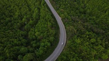 Sırbistan 'da yeşil ve manzara taşımacılığı ve seyahat konseptiyle çevrili dolambaçlı yol boyunca giden bahar aracı otomobili sırasında, bir dağ sırasındaki eğimli asfalt bir yolun hava aracı görüntüleri