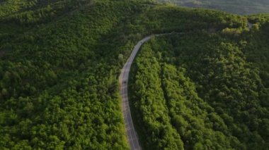 Sırbistan 'da yeşil ve manzara taşımacılığı ve seyahat konseptiyle çevrili dolambaçlı yol boyunca giden bahar aracı otomobili sırasında, bir dağ sırasındaki eğimli asfalt bir yolun hava aracı görüntüleri