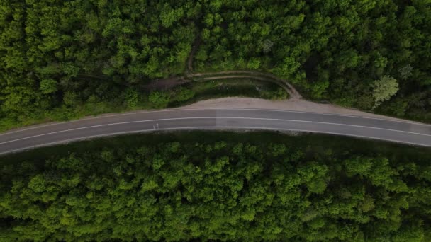 세르비아 지방에서 자동차를 꼬불꼬불 도로를 달리고 자동차가 녹색의 컨셉으로 둘러싸여 — 비디오