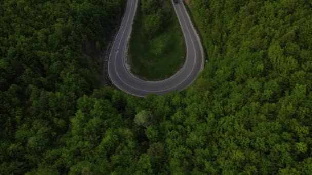 緑と風景輸送と旅行の概念に囲まれたセルビアの曲がりくねった道に沿って運転春の車両の間に山脈上の曲技アスファルト道路の空中ドローン映像 — ストック動画