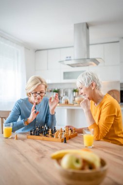 İki yaşlı olgun kadın Kafkas kadın arkadaş ya da kız kardeş evde satranç oynayarak eğleniyorlar. Birlikte evde vakit geçiriyorlar. Parlak fotokopi alanı.